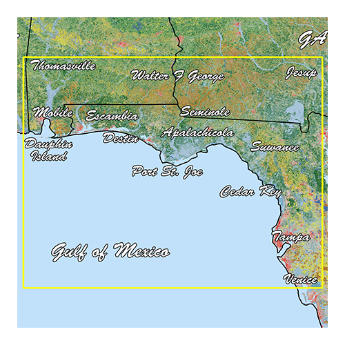 Garmin Emerald Coast Standard Mapping Professional (010-C1191-00)