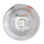 Lumitec Newt - Livewell & Courtesy Light - White Dimming (101084)