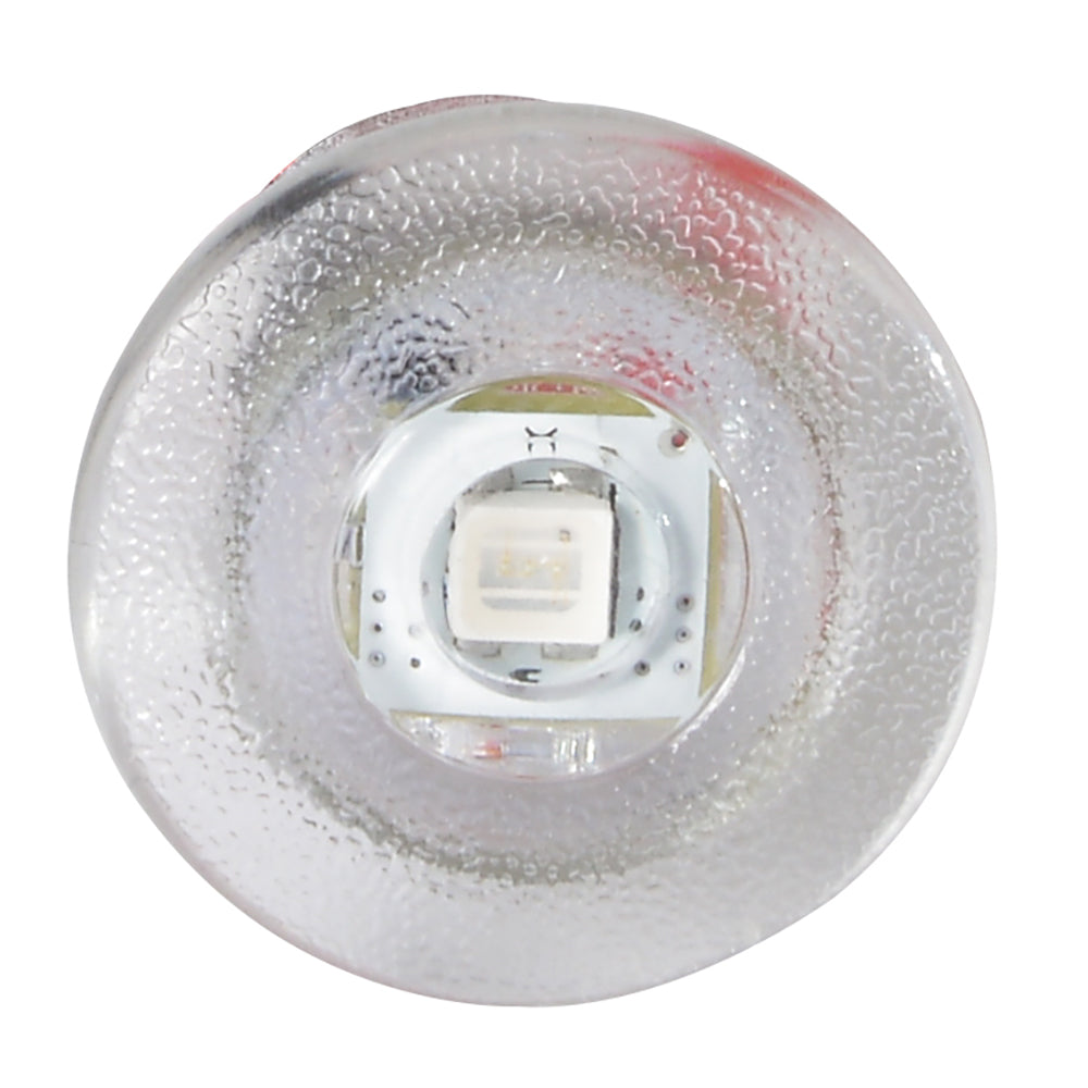 Lumitec Newt - Livewell & Courtesy Light - Red Dimming (101086)