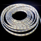 PLASHLIGHTS 12v RGBW Color Changing Waterproof Flexible Light Strip - Ip68 - 16' | FLS-RGBW-68-16FT